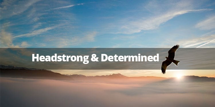 headstrong-and-determined